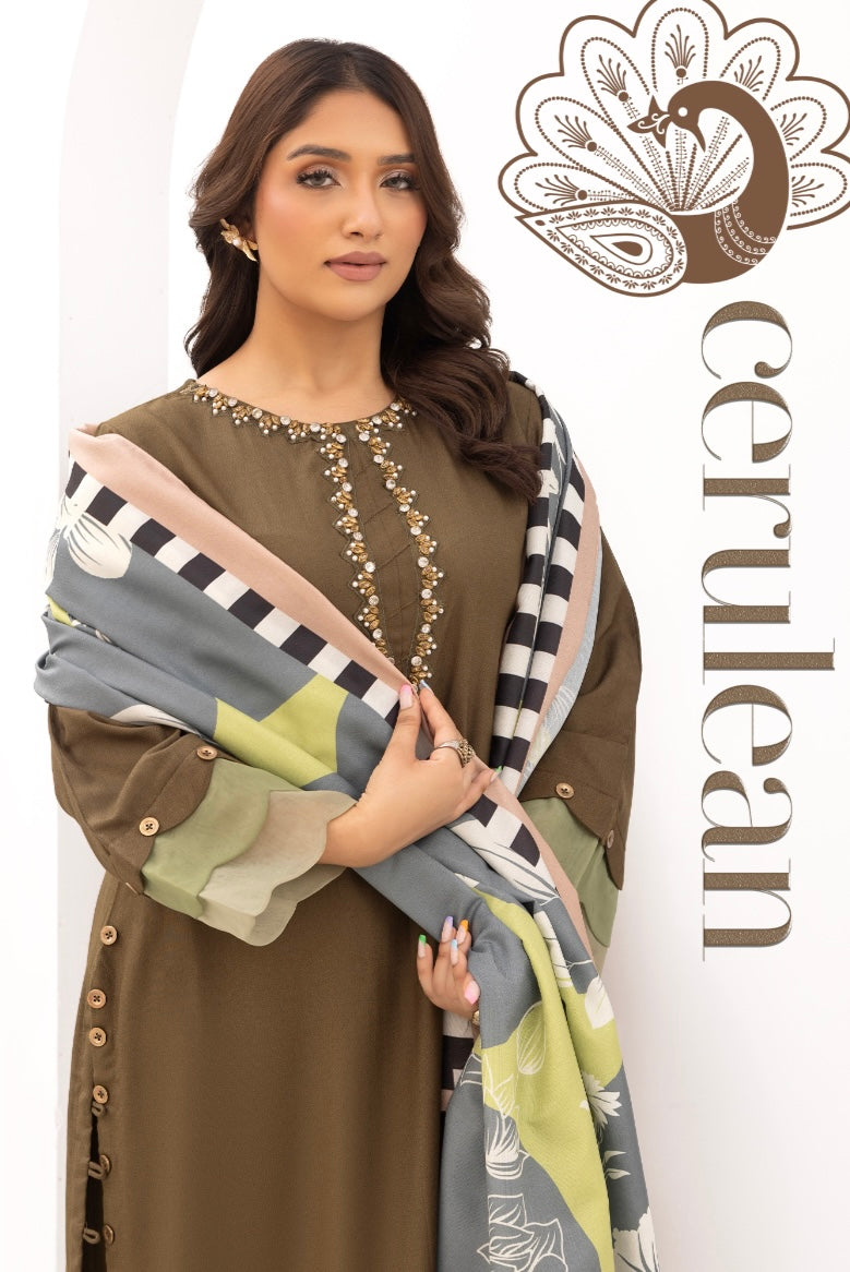 SIMRANS NAKHRA 3 Piece Dhanak readymade Suit with Digital Wool Shawl DSS03