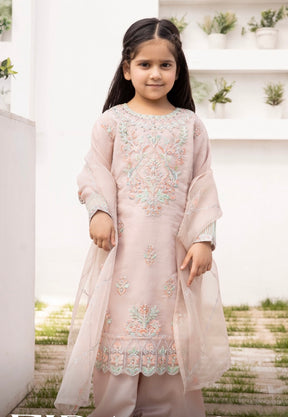 Simrans Organza Mummy & Me Ladies and kids Eid suit Pastel Pink