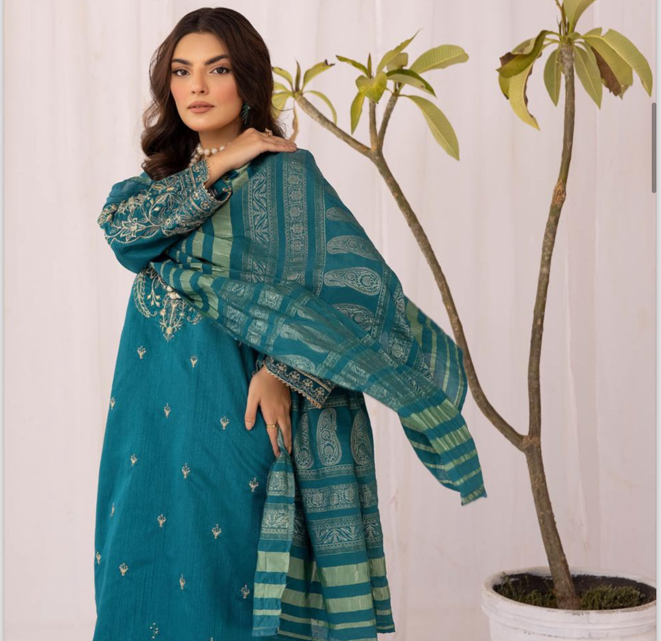 SIMRANS ‘HUSSAIN REHAR’ | EMBROIDERED RAW SILK READYMADE | SM322